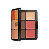 Foundation and Blush Palette - باليت كريم اساس وبلاشر