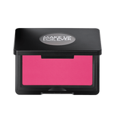 artist face powder blush