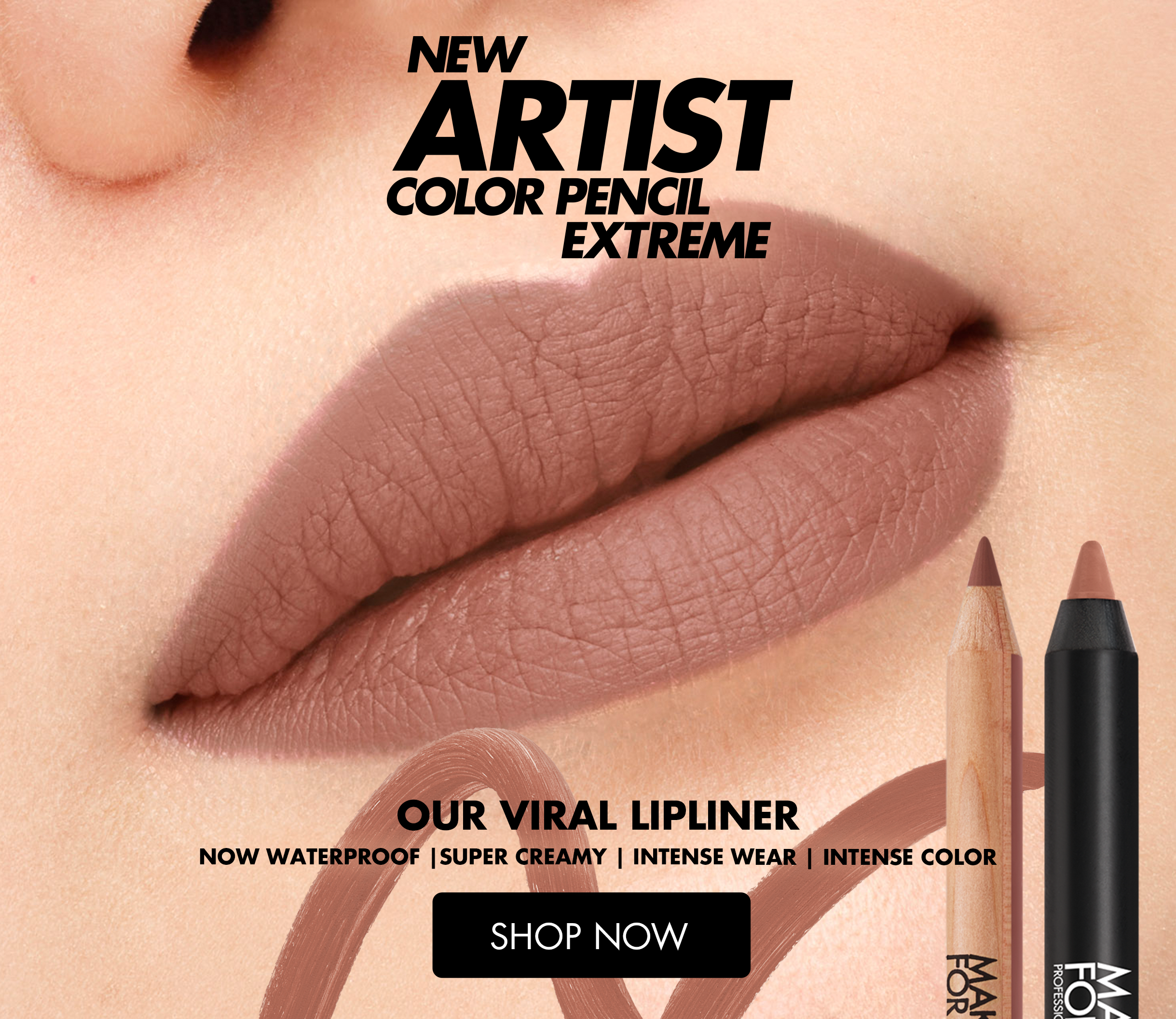 ROUGE ARTIST FOR EVER